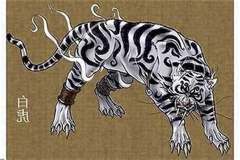 白虎 是什么意思
